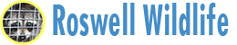 Roswell Wildlife